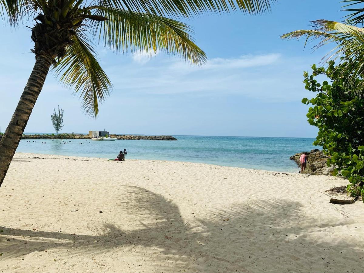 Vanille, A Proximite Des Plages, Idealement Situe Pour Visiter La Guadeloupe ル・ゴジエ エクステリア 写真